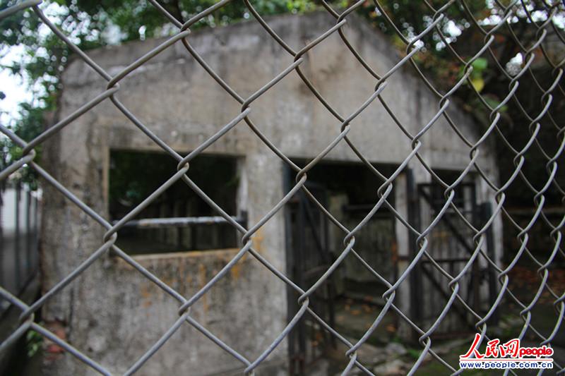 ͸^FW(wng)Կ20o(j)ĽzӰꐵ䣩