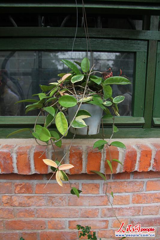 辰չ˸ʽӵ辰ˇgƷzӰꐵ䣩