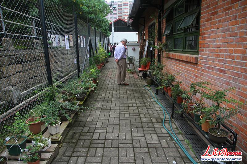 辰չ˸ʽӵ辰ˇgƷzӰꐵ䣩