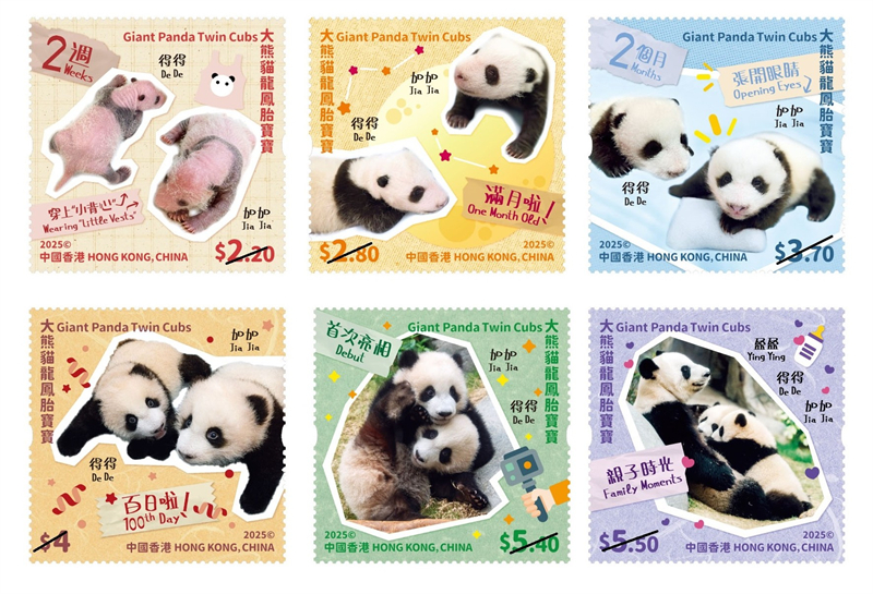圖.香港郵政發(fā)行“大熊貓龍鳳胎寶寶”特別郵票。主辦方供圖