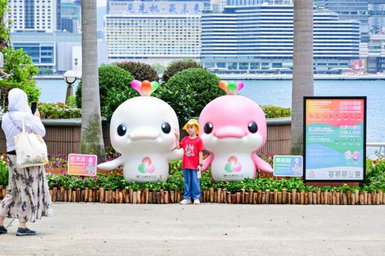 　　圖為一名兒童在香港金紫荊廣場(chǎng)的第十五屆全國(guó)運(yùn)動(dòng)會(huì)吉祥物旁留影。新華社記者 朱煒 攝