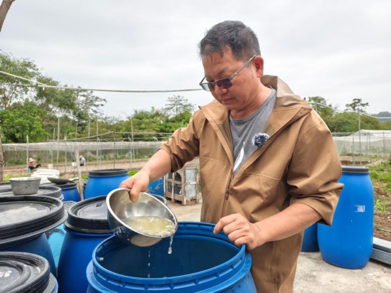 　　12月10日，在香港元朗石湖圍新村，鴻日農(nóng)莊主理人黃展明檢查自制酵素的成色。新華社記者 劉英倫 攝